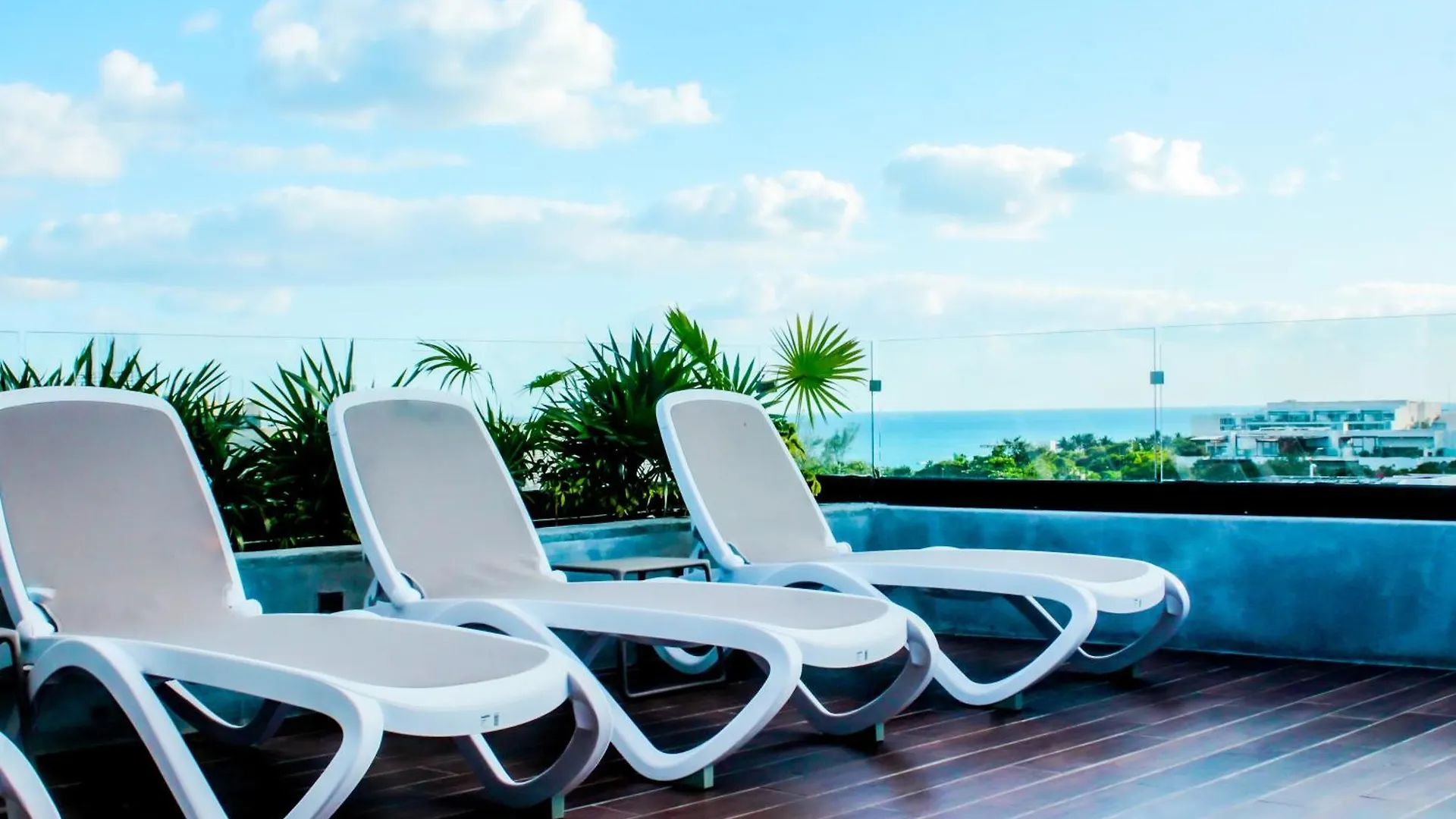 Apartment Best Modern Beach Apartament 1Br Ocean View Playa del Carmen